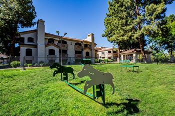 San tropez apartments dog park